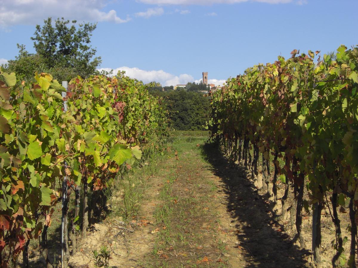 Buonamico Wine Resort Montecarlo Luaran gambar