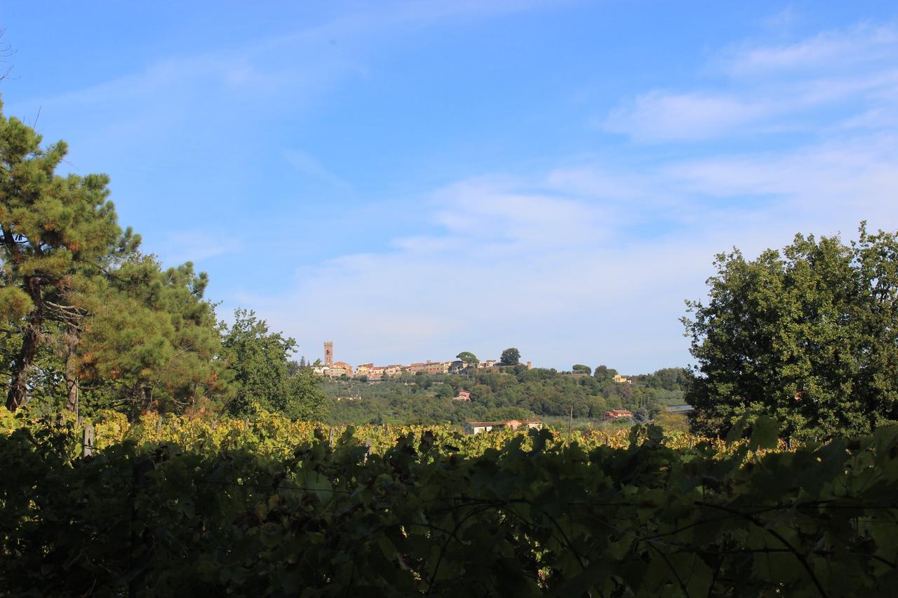 Buonamico Wine Resort Montecarlo Luaran gambar